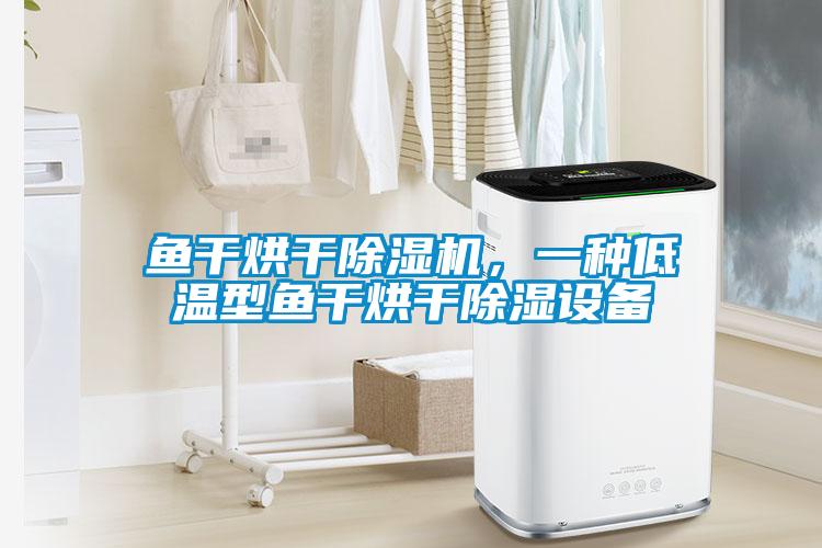 魚干烘干除濕機，一種低溫型魚干烘干除濕設備