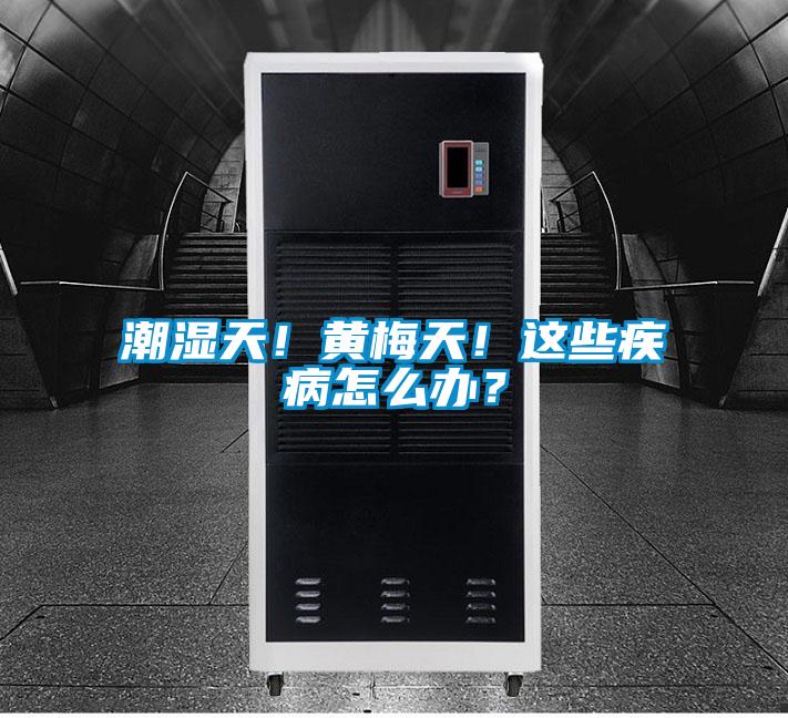 潮濕天！黃梅天！這些疾病怎么辦？