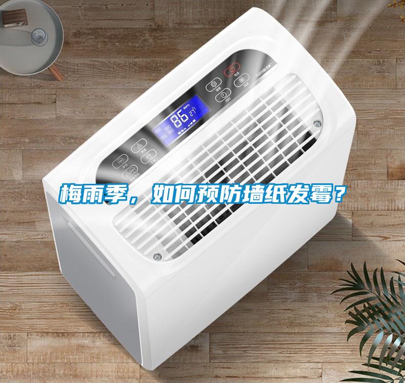 梅雨季，如何預(yù)防墻紙發(fā)霉？