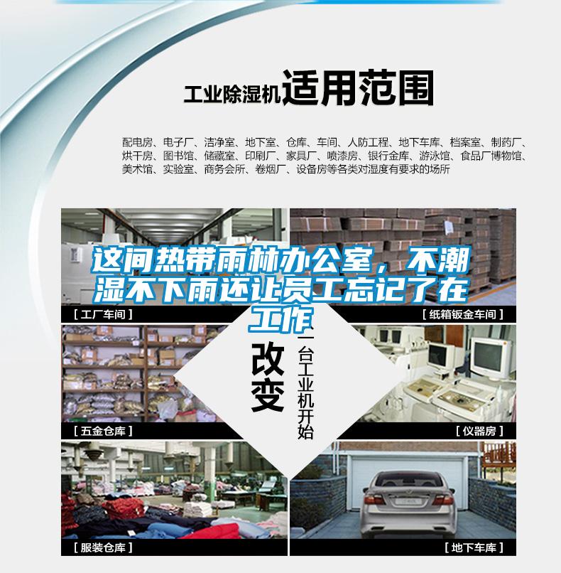 這間熱帶雨林辦公室，不潮濕不下雨還讓員工忘記了在工作