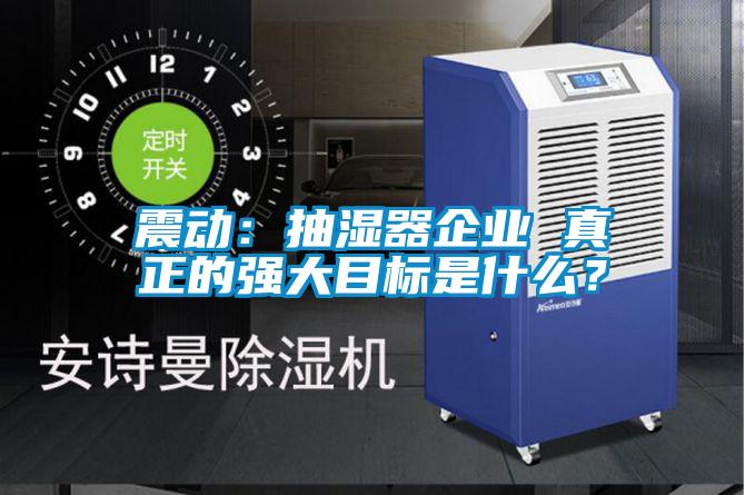 震動：抽濕器企業 真正的強大目標是什么？