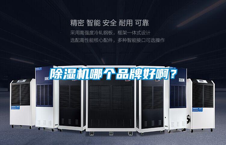 除濕機哪個品牌好??？