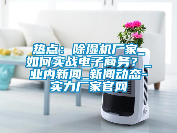 熱點：除濕機廠家_如何實戰(zhàn)電子商務？_業(yè)內(nèi)新聞_新聞動態(tài)-實力廠家官網(wǎng)