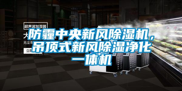 防霾中央新風除濕機，吊頂式新風除濕凈化一體機