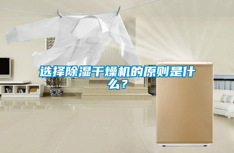 選擇除濕干燥機的原則是什么？