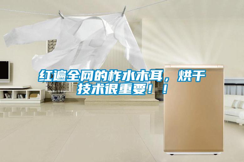 紅遍全網的柞水木耳，烘干技術很重要??！