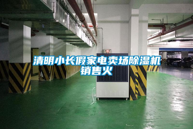 清明小長假家電賣場(chǎng)除濕機(jī)銷售火