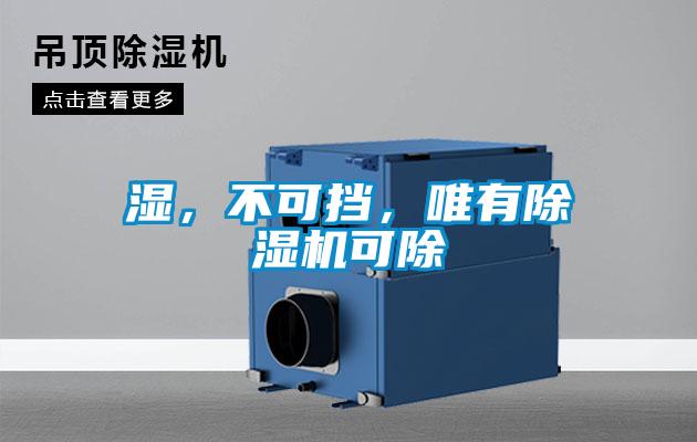 濕，不可擋，唯有除濕機(jī)可除