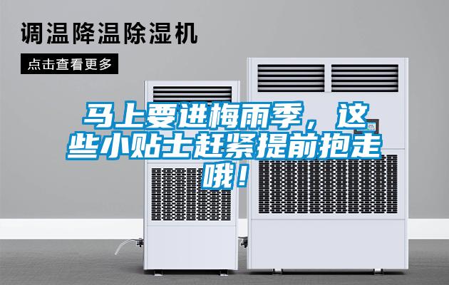 馬上要進(jìn)梅雨季，這些小貼士趕緊提前抱走哦！