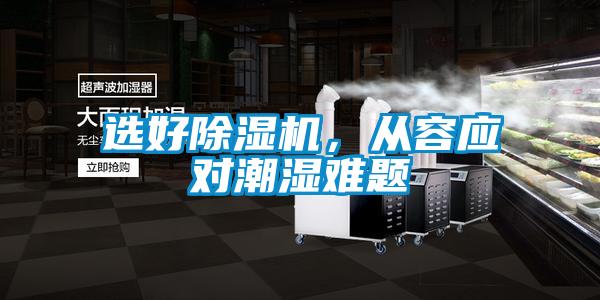 選好除濕機，從容應對潮濕難題