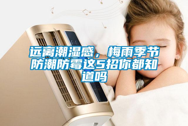 遠(yuǎn)離潮濕感，梅雨季節(jié)防潮防霉這5招你都知道嗎