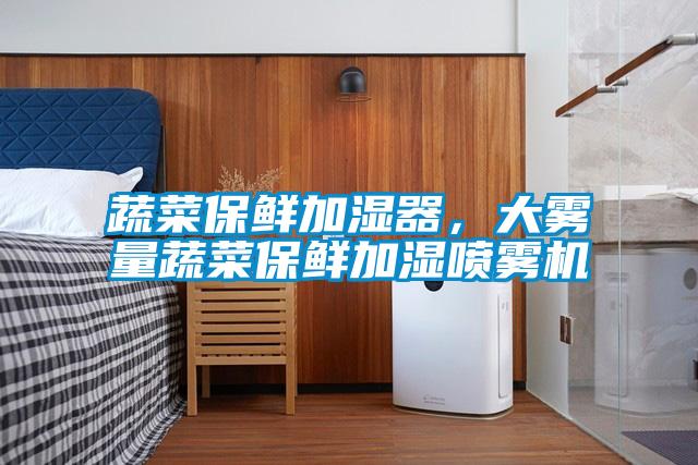 蔬菜保鮮加濕器,大霧量蔬菜保鮮加濕噴霧機