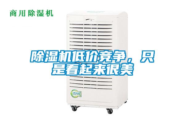 除濕機(jī)低價(jià)競(jìng)爭(zhēng)，只是看起來(lái)很美