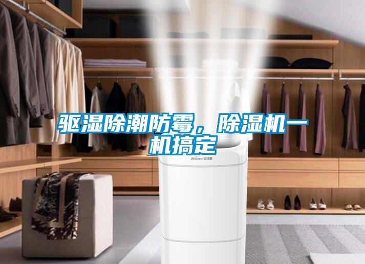 驅濕除潮防霉，除濕機一機搞定