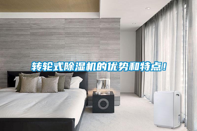 轉(zhuǎn)輪式除濕機(jī)的優(yōu)勢和特點！