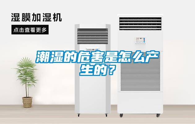 潮濕的危害是怎么產(chǎn)生的？