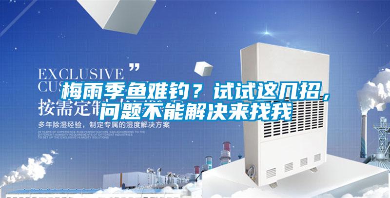 梅雨季魚難釣？試試這幾招，問題不能解決來找我