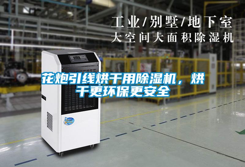 花炮引線烘干用除濕機，烘干更環(huán)保更安全
