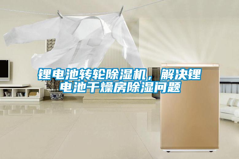 鋰電池轉輪除濕機，解決鋰電池干燥房除濕問題