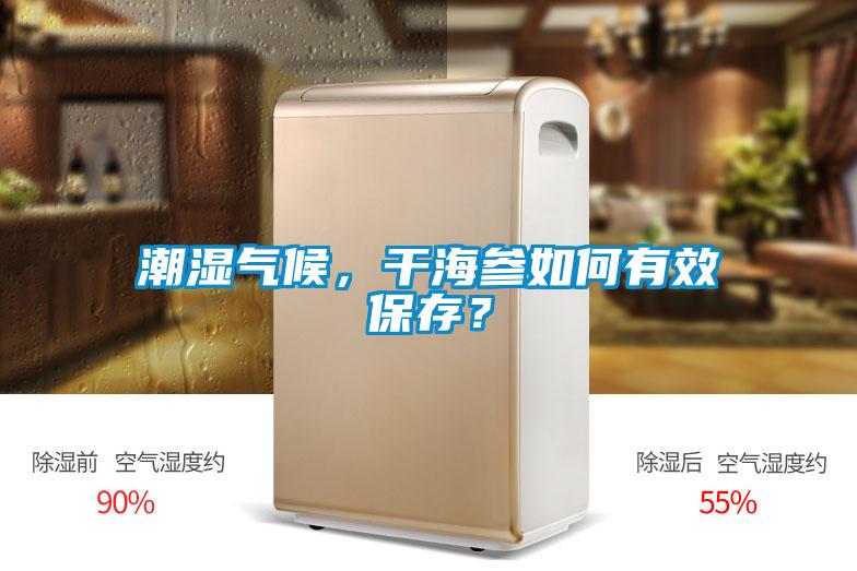 潮濕氣候，干海參如何有效保存？