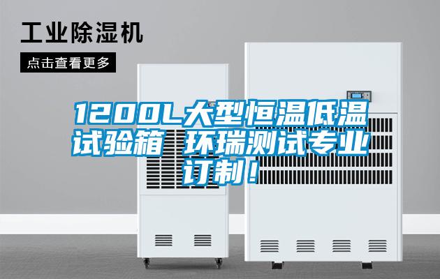 1200L大型恒溫低溫試驗(yàn)箱 環(huán)瑞測(cè)試專(zhuān)業(yè)訂制！