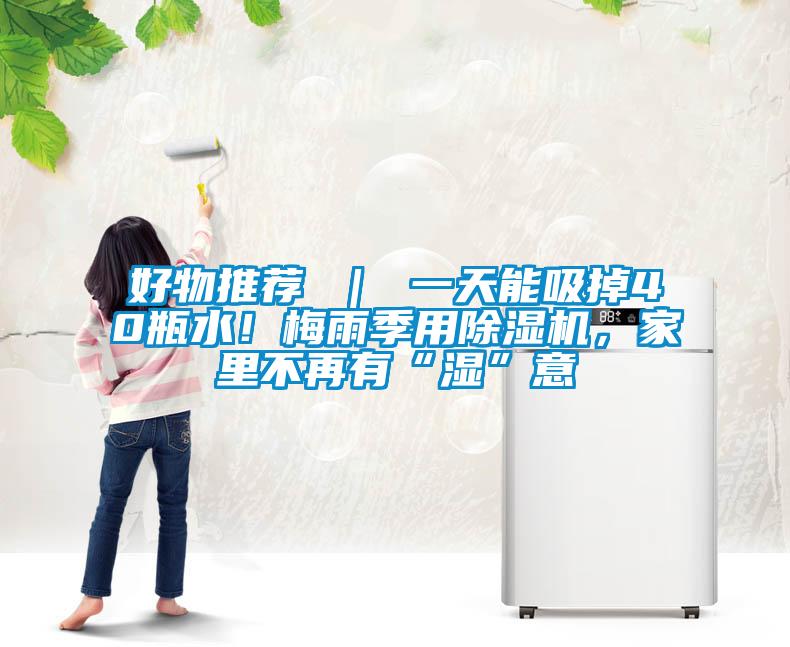 好物推薦 ｜ 一天能吸掉40瓶水！梅雨季用除濕機(jī)，家里不再有“濕”意