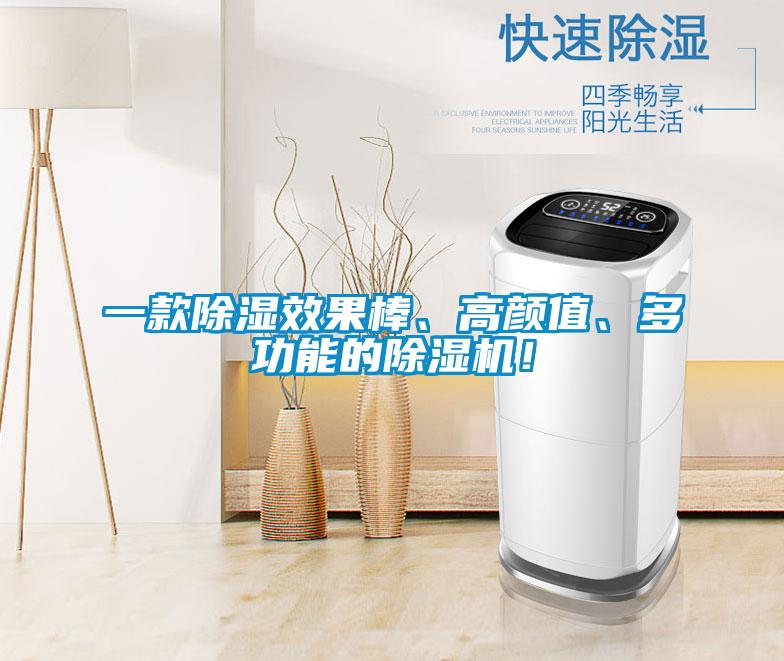 一款除濕效果棒、高顏值、多功能的除濕機！