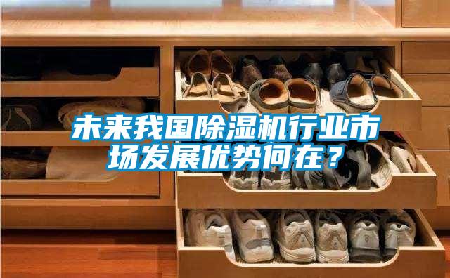 未來我國除濕機行業市場發展優勢何在？