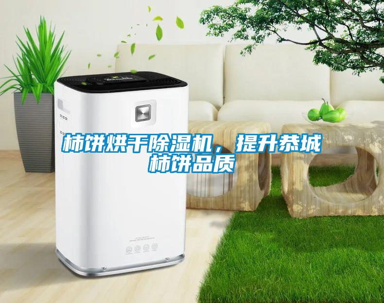 柿餅烘干除濕機，提升恭城柿餅品質(zhì)