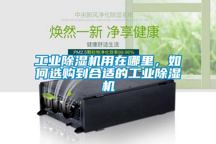 工業(yè)除濕機(jī)用在哪里，如何選購(gòu)到合適的工業(yè)除濕機(jī)
