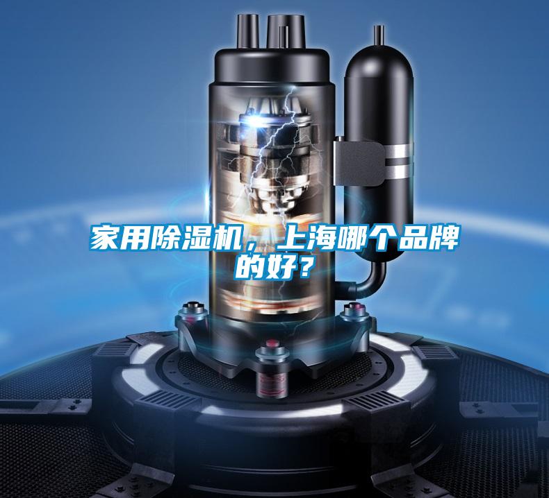 家用除濕機(jī)，上海哪個品牌的好？