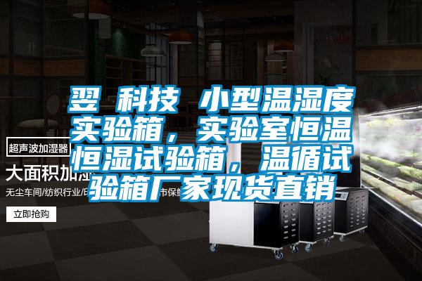 翌昇科技 小型溫濕度實(shí)驗(yàn)箱，實(shí)驗(yàn)室恒溫恒濕試驗(yàn)箱，溫循試驗(yàn)箱廠家現(xiàn)貨直銷
