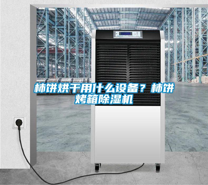柿餅烘干用什么設備？柿餅烤箱除濕機