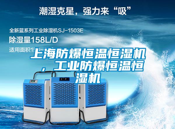 上海防爆恒溫恒濕機 ，工業防爆恒溫恒濕機