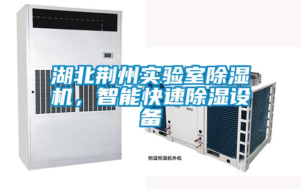 湖北荊州實驗室除濕機，智能快速除濕設備
