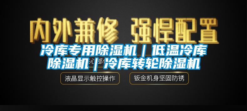冷庫(kù)專(zhuān)用除濕機(jī)｜低溫冷庫(kù)除濕機(jī)｜冷庫(kù)轉(zhuǎn)輪除濕機(jī)