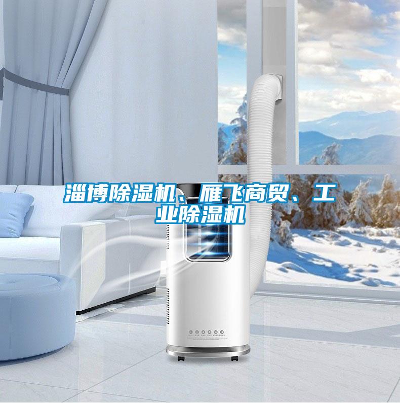 淄博除濕機(jī)、雁飛商貿(mào)、工業(yè)除濕機(jī)