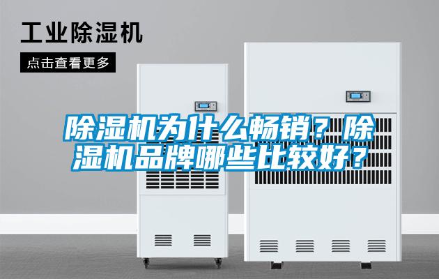 除濕機為什么暢銷？除濕機品牌哪些比較好？