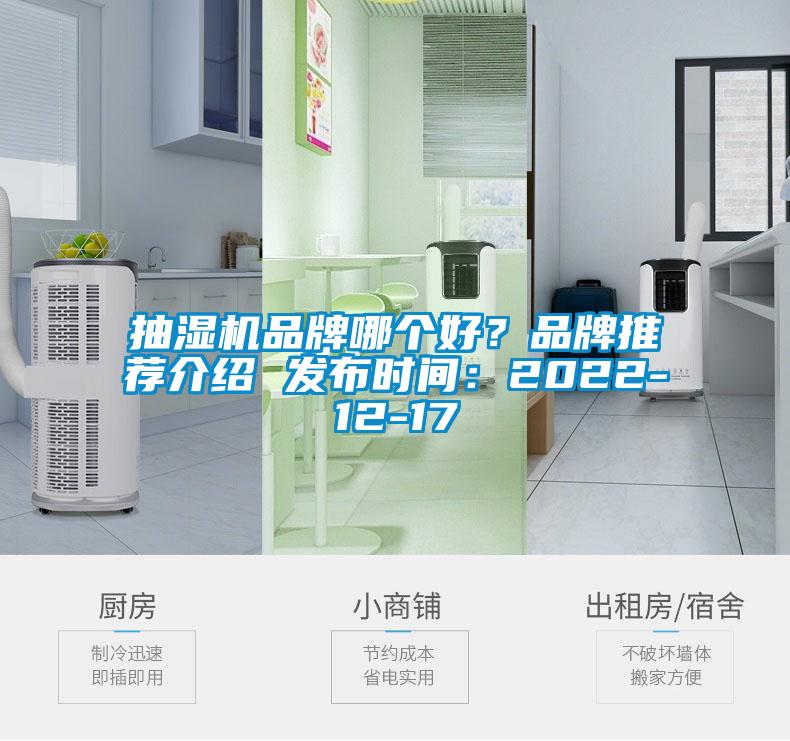 抽濕機品牌哪個好？品牌推薦介紹 發(fā)布時間：2022-12-17