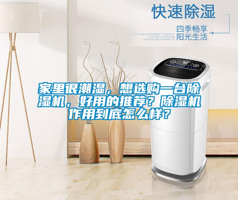 家里很潮濕，想選購一臺(tái)除濕機(jī)，好用的推薦？除濕機(jī)作用到底怎么樣？