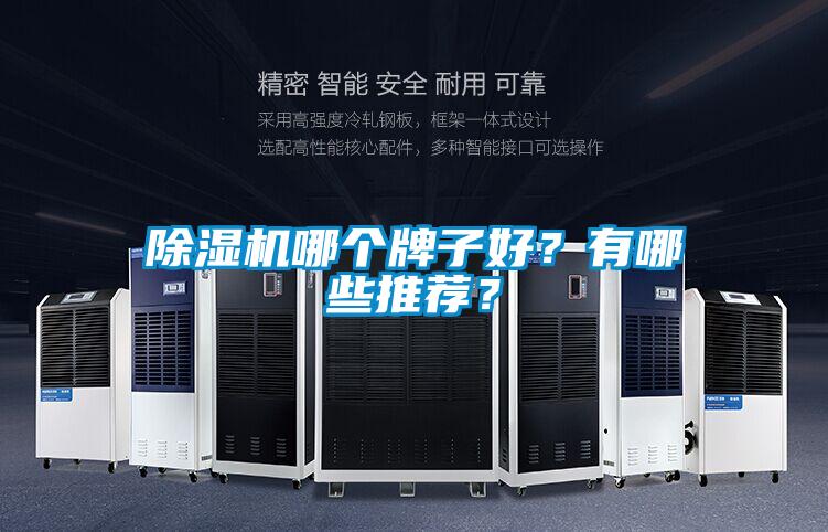 除濕機哪個牌子好？有哪些推薦？