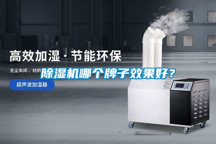 除濕機(jī)哪個(gè)牌子效果好？