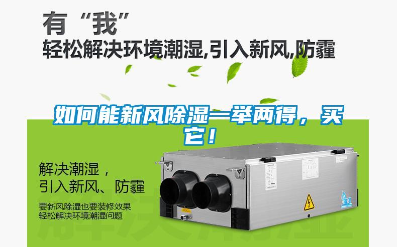如何能新風除濕一舉兩得，買它！