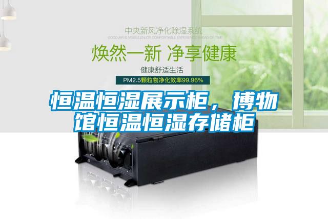 恒溫恒濕展示柜，博物館恒溫恒濕存儲柜