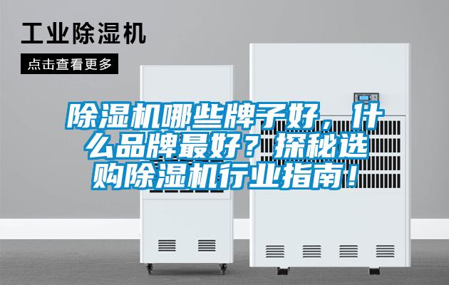除濕機(jī)哪些牌子好，什么品牌最好？探秘選購(gòu)除濕機(jī)行業(yè)指南！