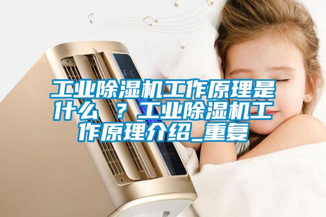 工業除濕機工作原理是什么 ？工業除濕機工作原理介紹_重復