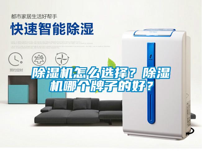除濕機(jī)怎么選擇？除濕機(jī)哪個牌子的好？