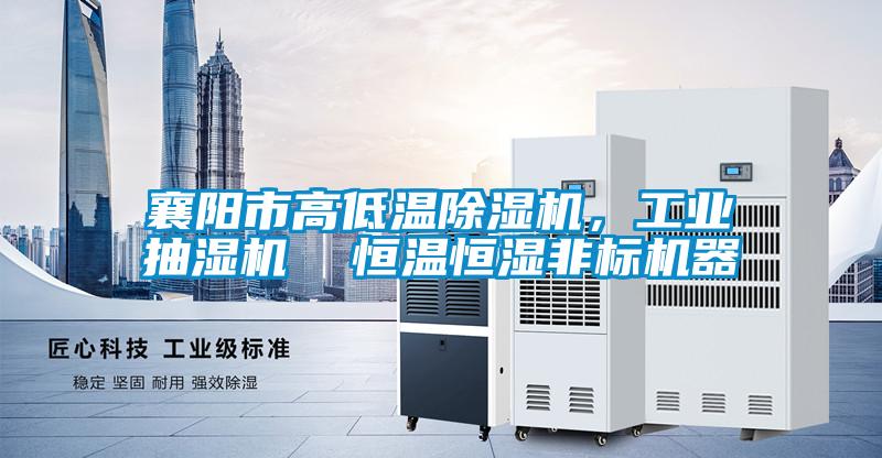 襄陽市高低溫除濕機,工業抽濕機 恒溫恒濕非標機器