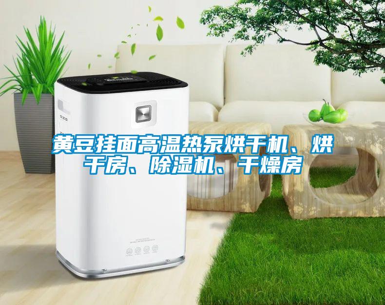 黃豆掛面高溫?zé)岜煤娓蓹C(jī)、烘干房、除濕機(jī)、干燥房