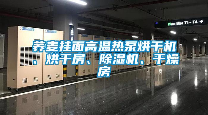 蕎麥掛面高溫熱泵烘干機、烘干房、除濕機、干燥房